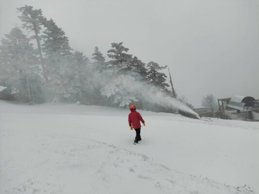 降雪開始しました！