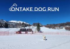 御嶽初　ONTAKE　DOG　RUN　オープン！！