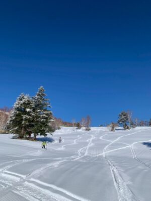 カラマツコース、ファミリーコースを開放します！