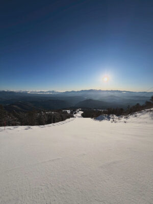 平日が、さらに面白くなります。